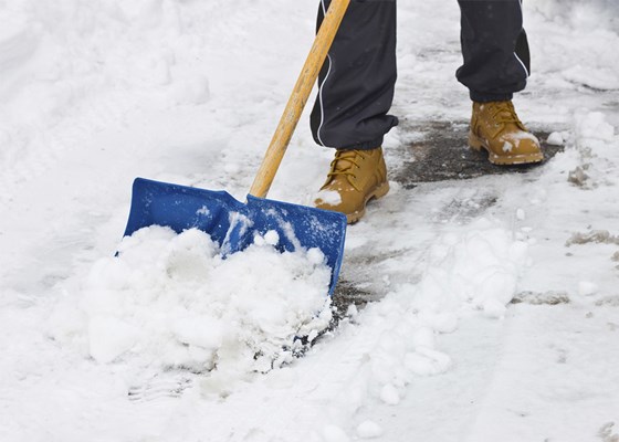 Websites: Snow Removal Contractors Calgary